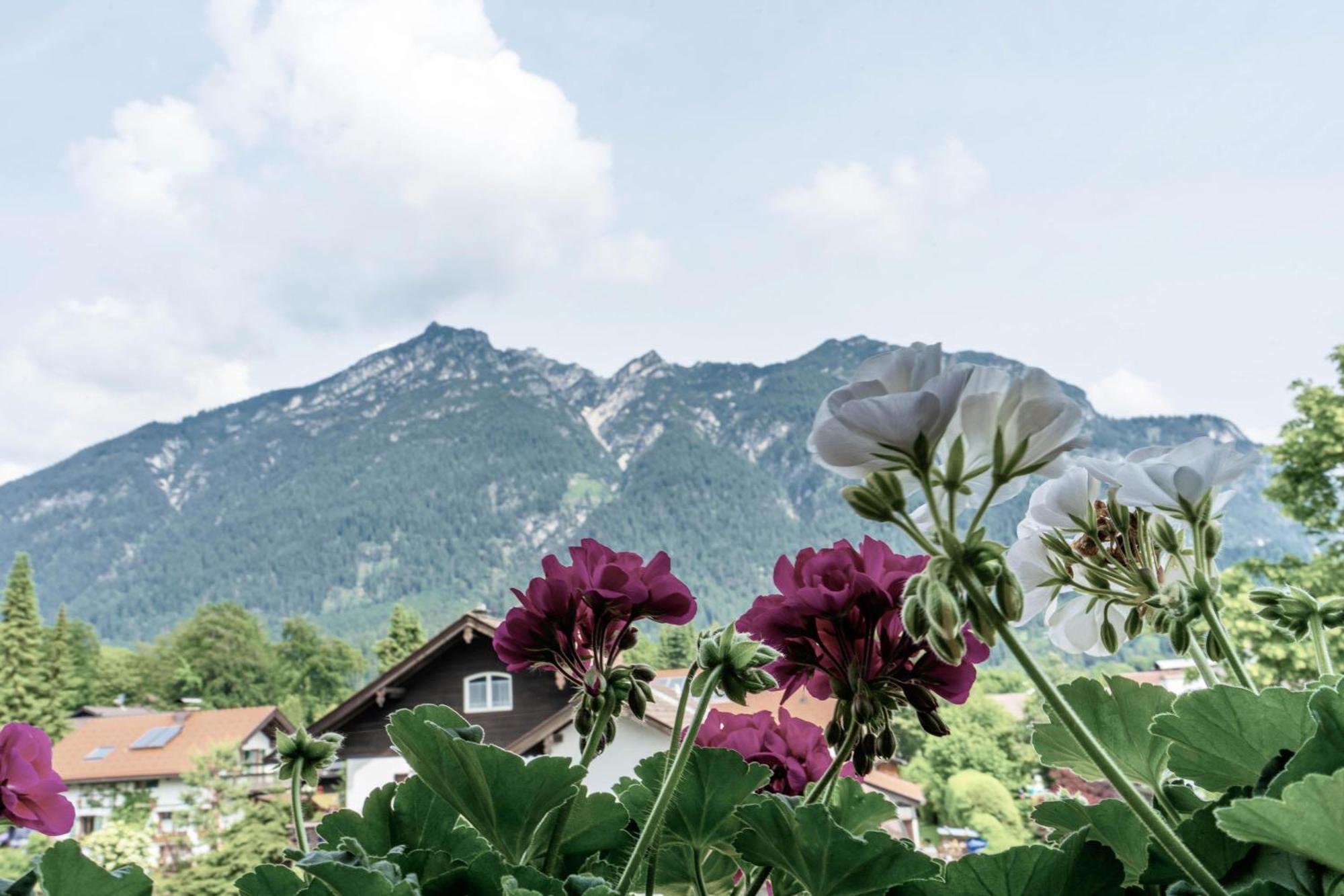 Gaestehaus Quirin Garmisch-Partenkirchen Dış mekan fotoğraf